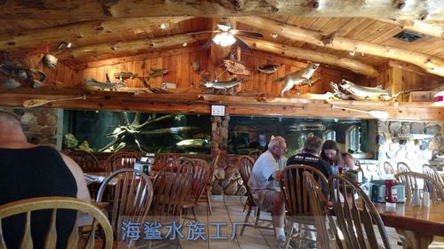 新手养鱼入门 从看懂水质开始，告别“买鱼死鱼循环”