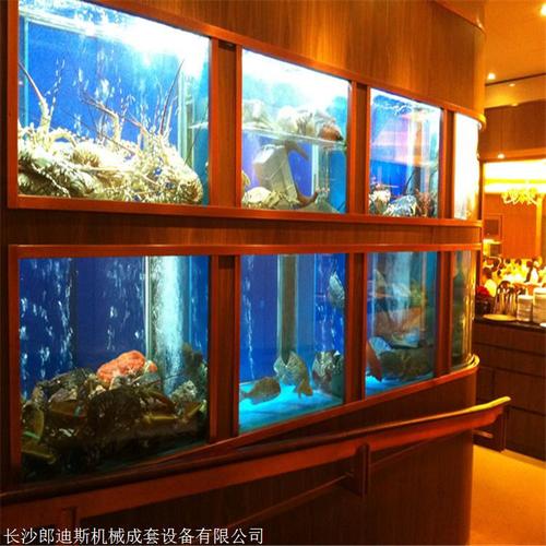 长沙海鲜池三层鱼缸定制指南 设计图要点、水产鱼池费用与海鲨水族工厂解析