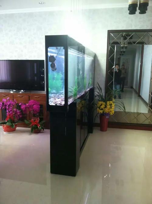 百晶坊专业水族定制工厂 匠心独运，打造梦幻水下世界