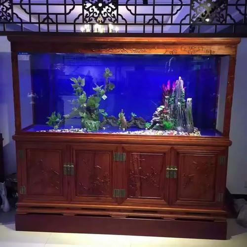百晶坊 专业水族定制工厂，为您打造专属水下世界——专访负责人狄宏