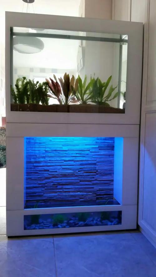 百晶坊专业水族定制工厂——打造专属水下生态世界