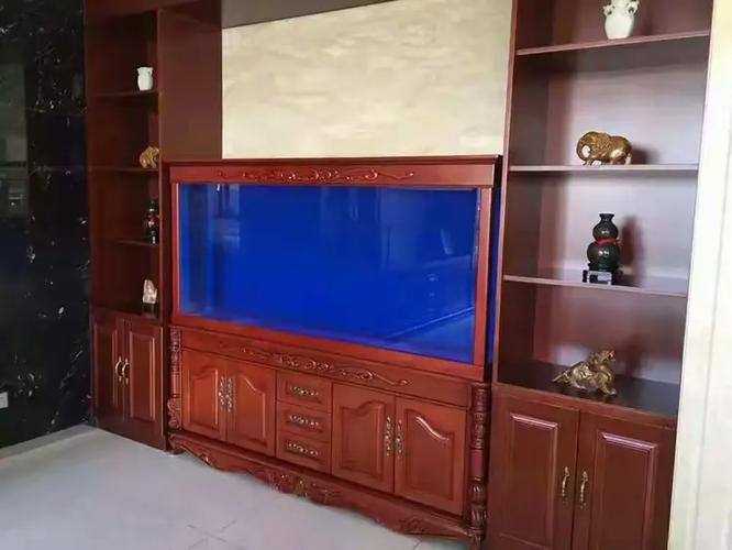 百晶坊专业水族定制工厂 匠心打造水下空间，BD宏与您共筑品质水族