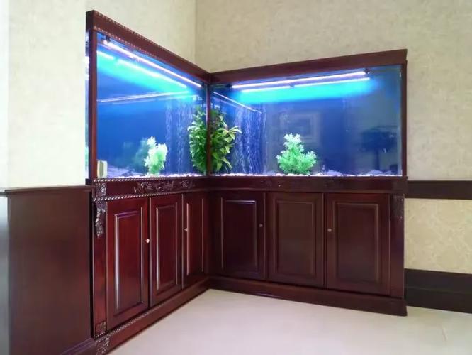 百晶坊专业水族定制工厂 匠心独运，打造专属水下世界