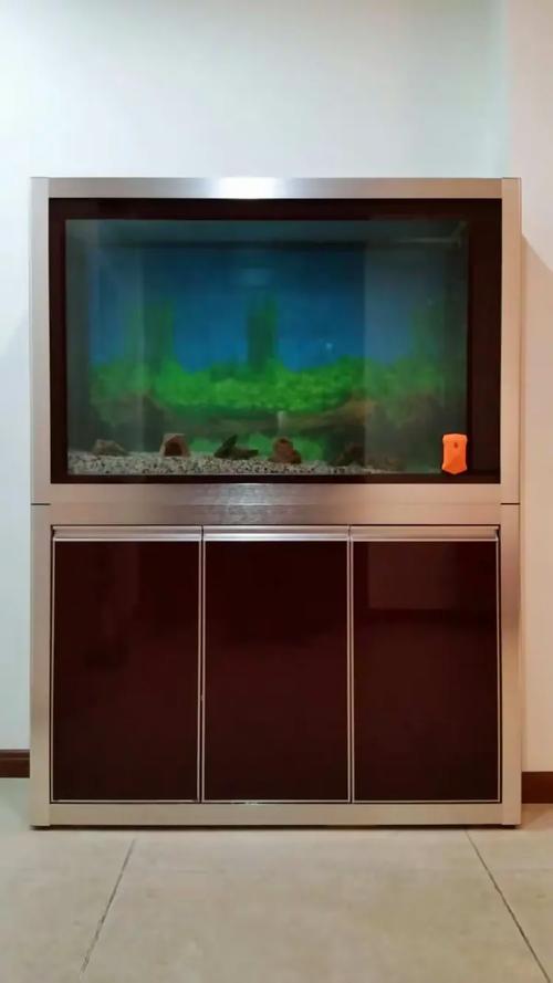 百晶坊专业水族定制工厂 匠心打造高端水族生态
