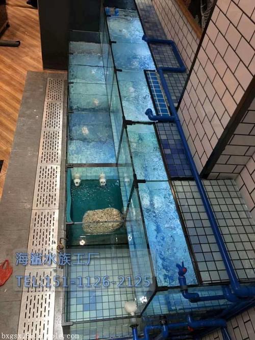沅陵县超市鱼缸上门定做优选海鲨水族工厂 专业定制生鲜店与海鲜鱼缸的信赖之选