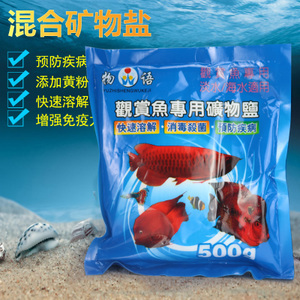 观赏金龙鱼选购指南 从淘宝到水族专卖店的全面解析